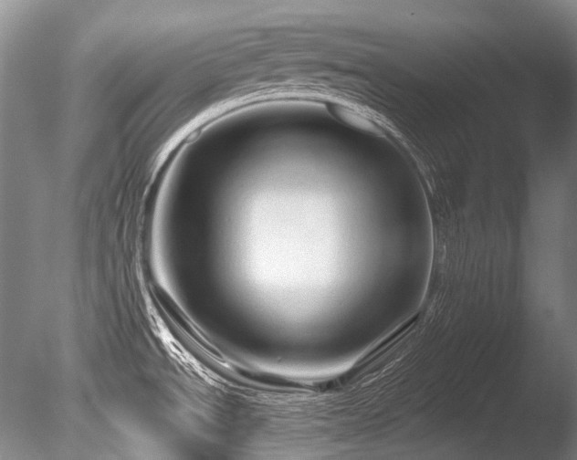 X0000086261534200703291420