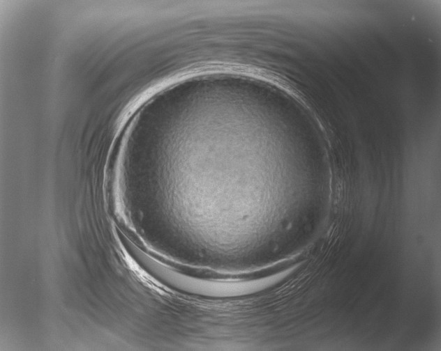 X0000086261535200703291420