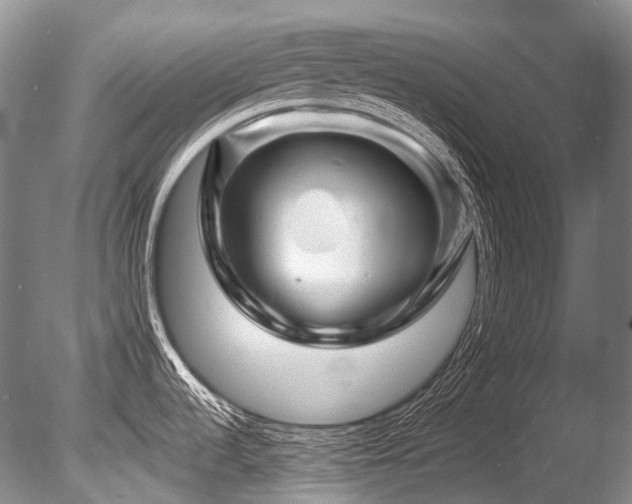 X0000086261536200703291420