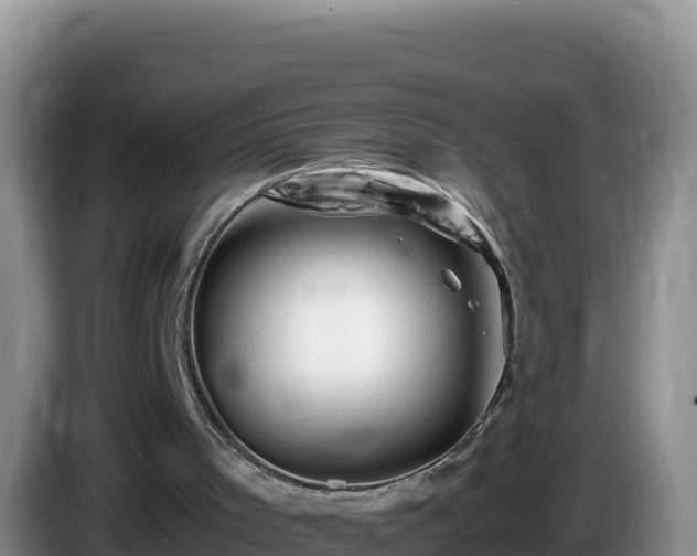 X0000086260001200704051312