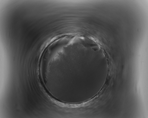 X0000086260002200704051312