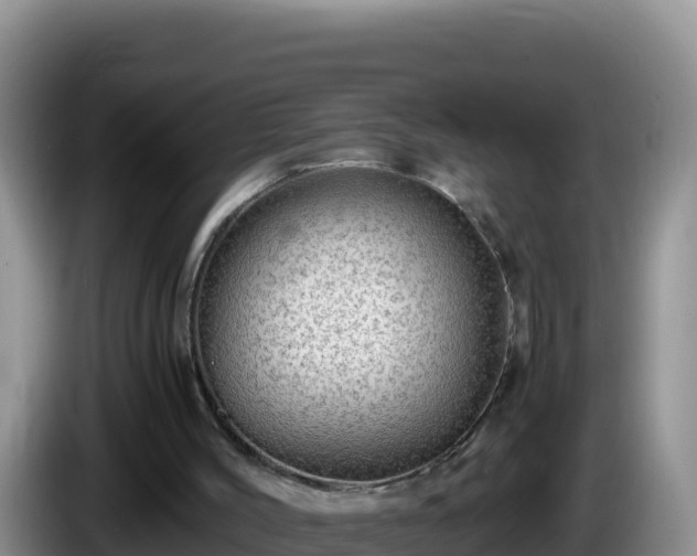 X0000086260004200704051312