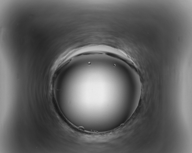 X0000086260005200704051312