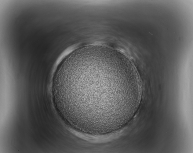 X0000086260006200704051312