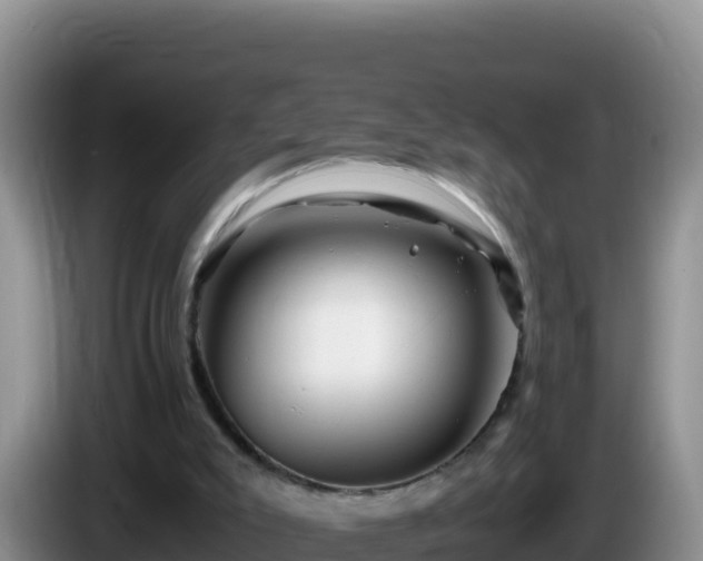 X0000086260007200704051312