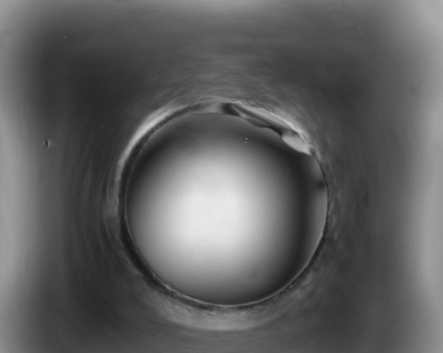 X0000086260008200704051312