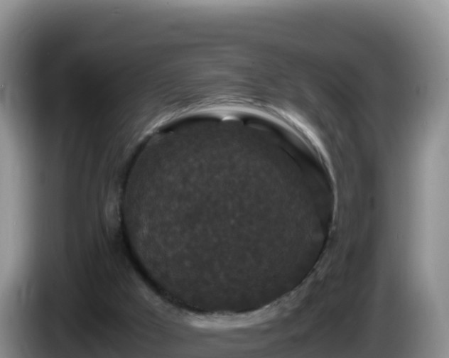 X0000086260009200704051312