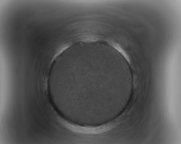 X0000086260010200704051312