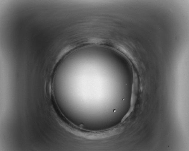 X0000086260011200704051312