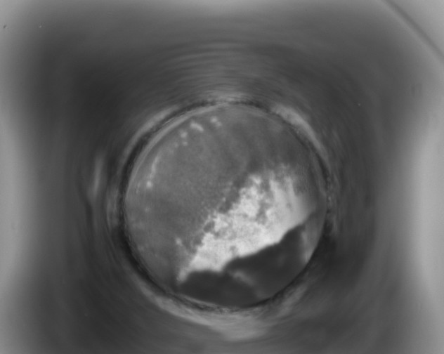 X0000086260012200704051312