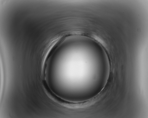 X0000086260013200704051312
