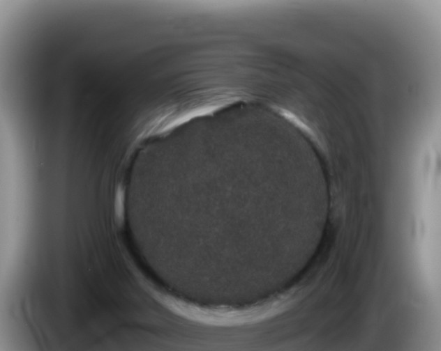 X0000086260014200704051312