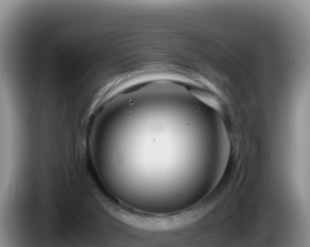 X0000086260015200704051312
