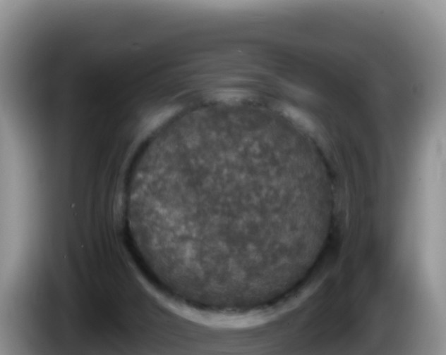 X0000086260016200704051312