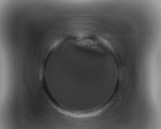 X0000086260018200704051312