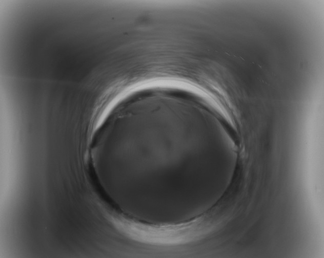 X0000086260019200704051312