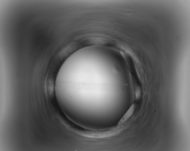 X0000086260021200704051312
