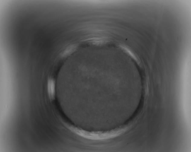 X0000086260022200704051312