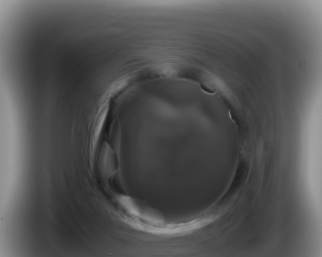 X0000086260023200704051312