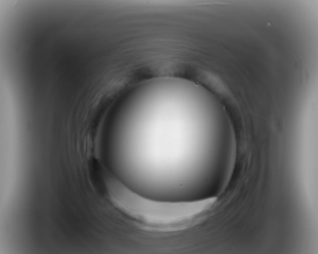 X0000086260025200704051312
