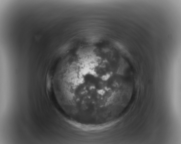 X0000086260026200704051312
