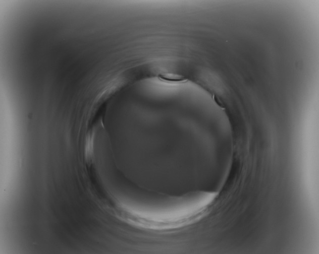 X0000086260027200704051312