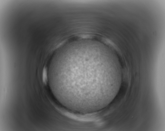 X0000086260028200704051312