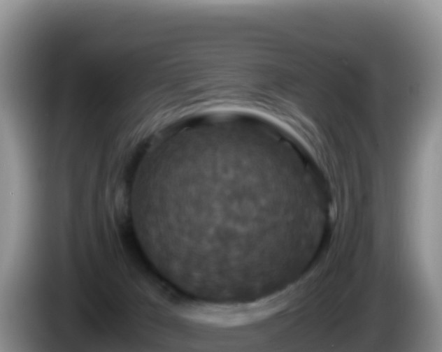 X0000086260029200704051312