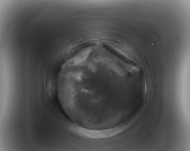 X0000086260030200704051312
