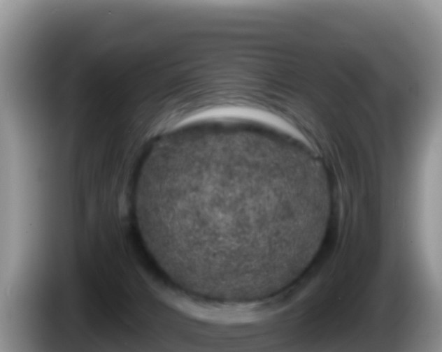 X0000086260032200704051312