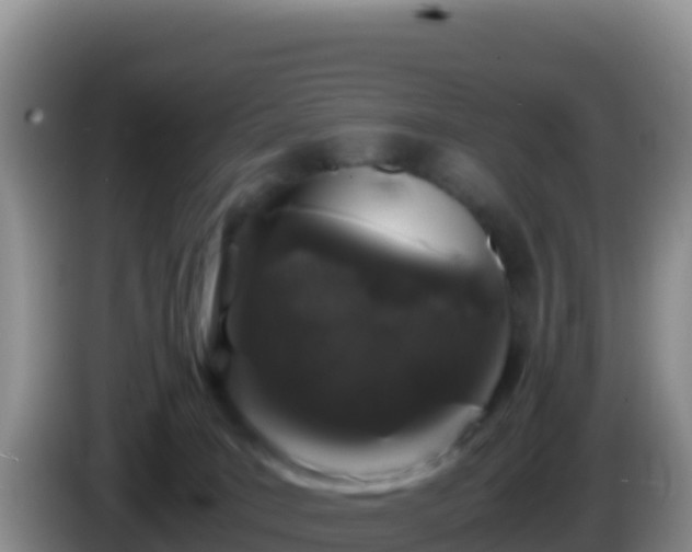 X0000086260035200704051312