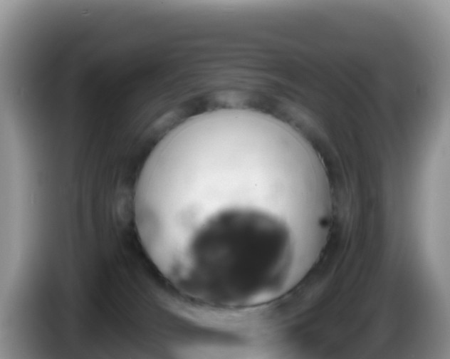 X0000086260036200704051312