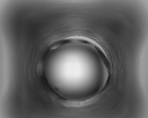 X0000086260037200704051312