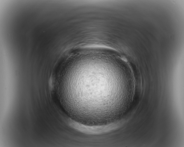 X0000086260038200704051312