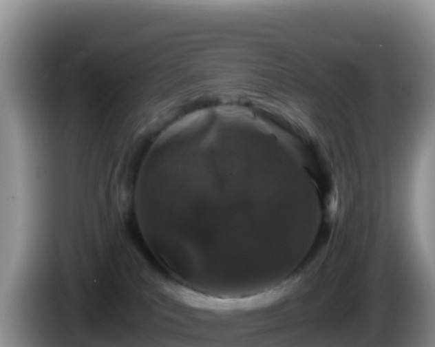 X0000086260039200704051312