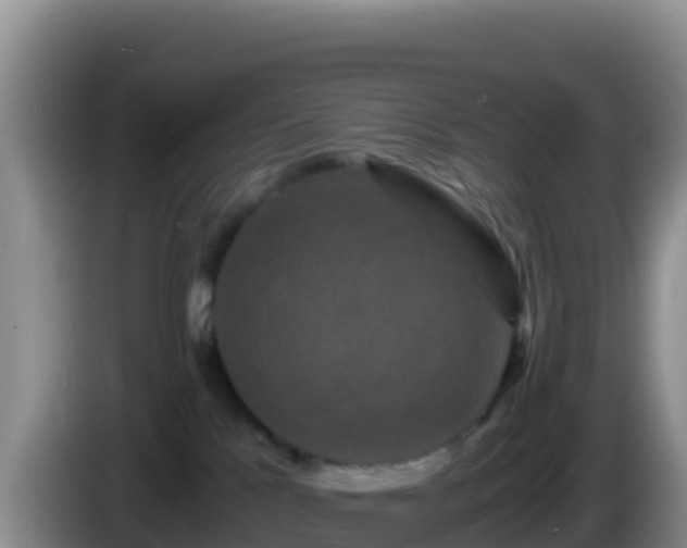 X0000086260041200704051312