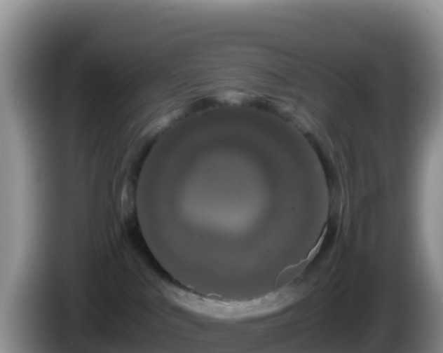 X0000086260043200704051312