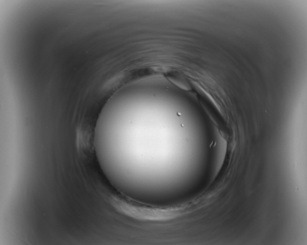 X0000086260044200704051312