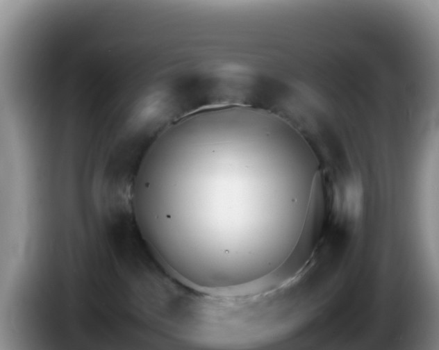 X0000086260045200704051312