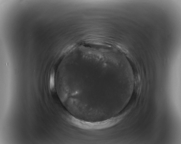 X0000086260046200704051312