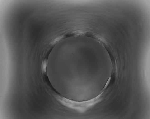 X0000086260047200704051312