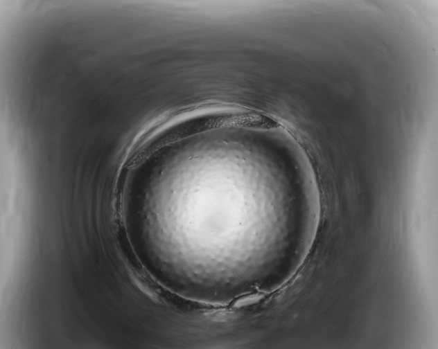 X0000086260050200704051311