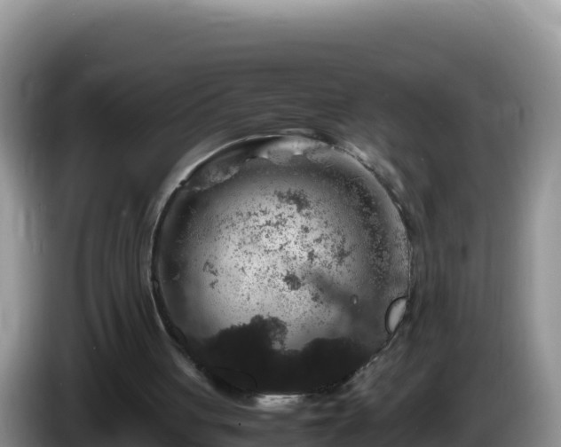 X0000086260051200704051311