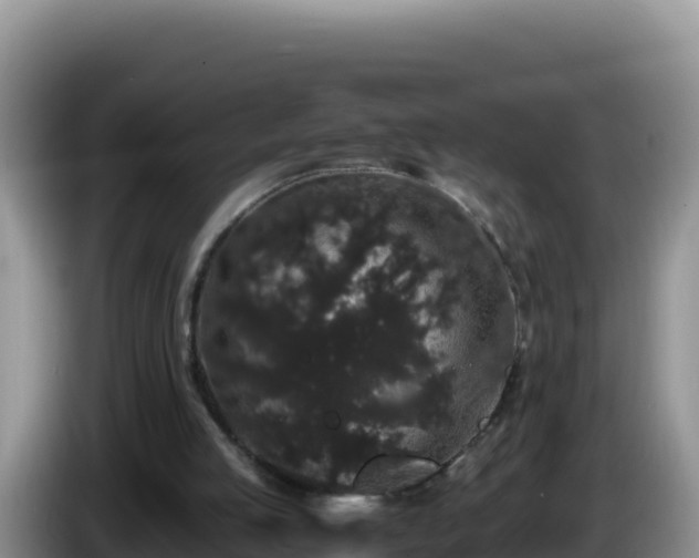 X0000086260053200704051311