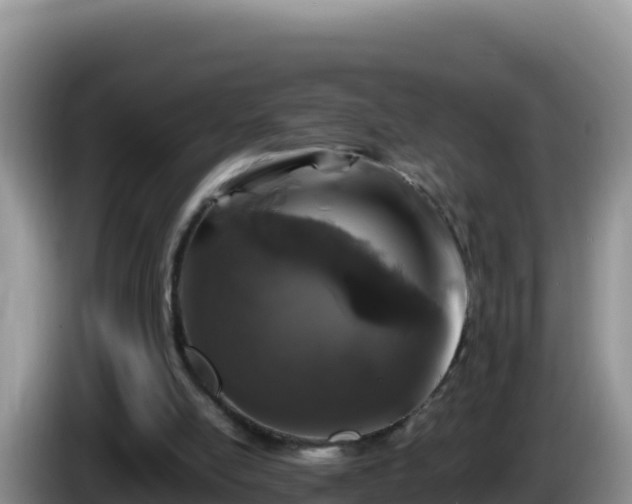 X0000086260054200704051311