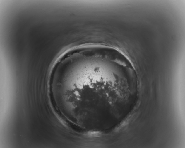 X0000086260055200704051311