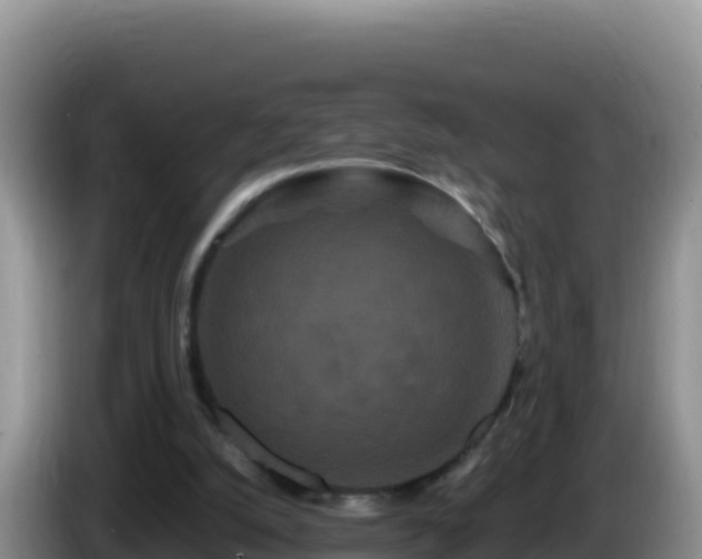 X0000086260056200704051311