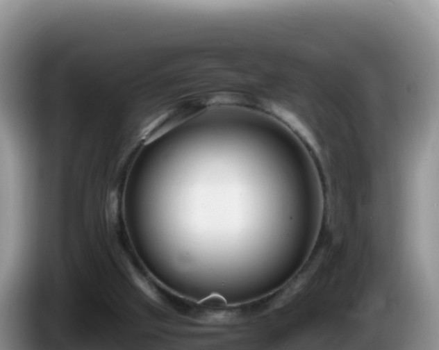 X0000086260057200704051311