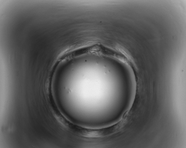X0000086260058200704051311