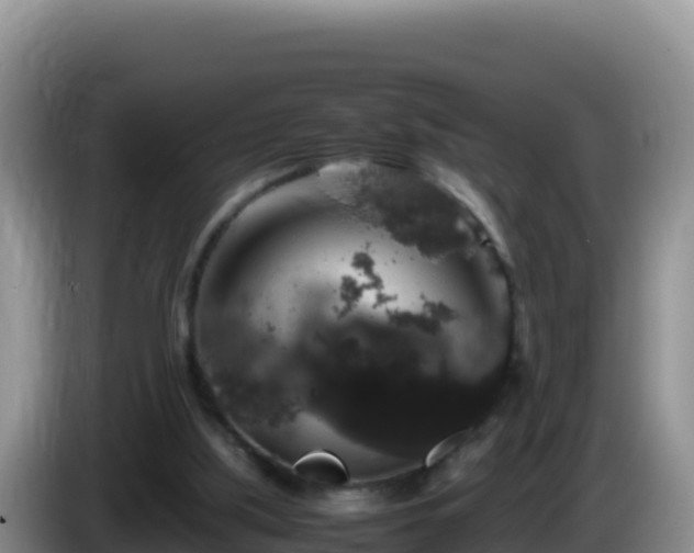 X0000086260059200704051311